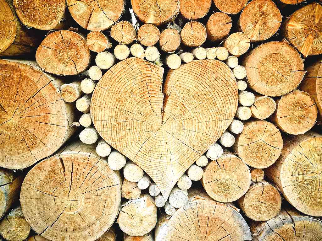 Eine Liebeserklärung an den Werkstoff Holz. (Foto: TheUjulala ; pixabay.com)